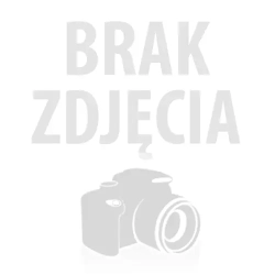 Filtr do inhalatora Compact (2szt)